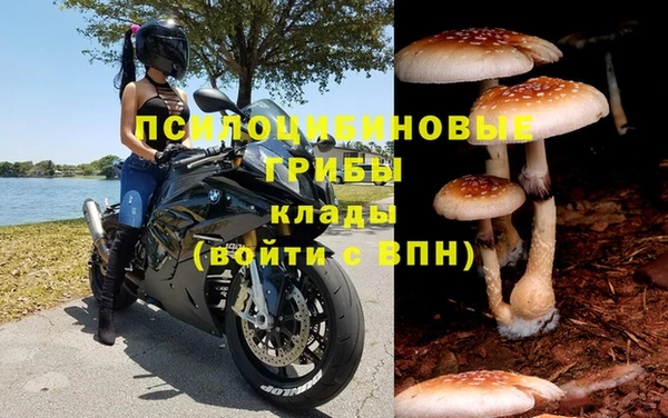 прущая мука Иннополис