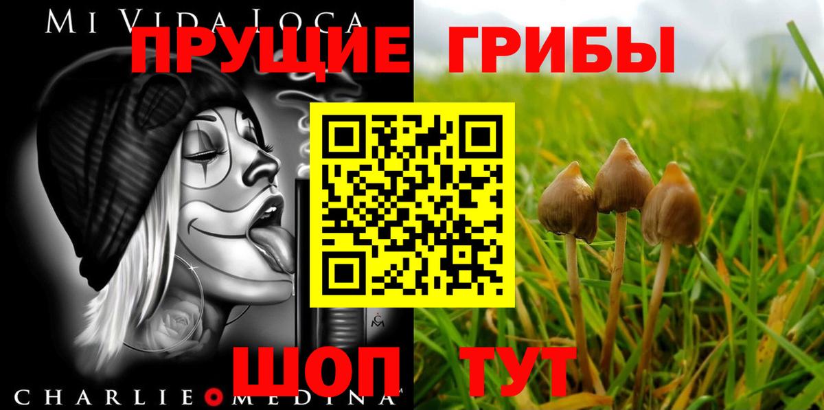 Галлюциногенные грибы Psilocybe  Вход с VPN  где найти   Псилоцибиновые грибы ЛСД  Асбест 