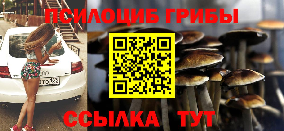 Галлюциногенные грибы Psilocybe  Псилоцибиновые грибы прущие грибы  Асбест 