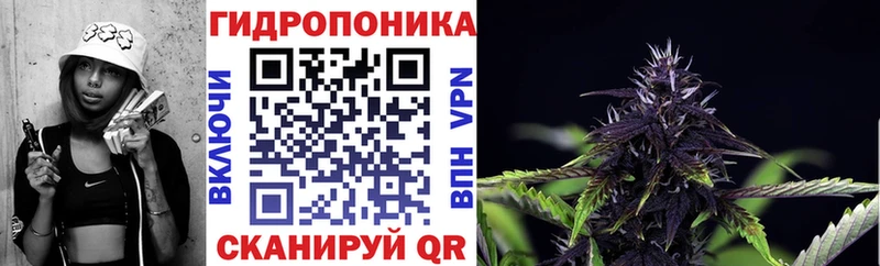 купить  цена  ссылка на мегу ссылка  Шишки марихуана конопля  Асбест 